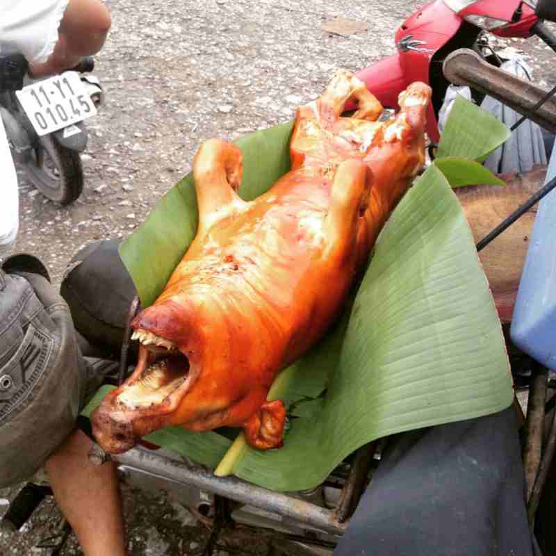 Vietnamese roast pig