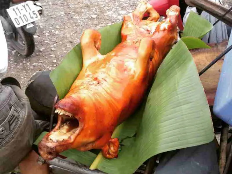 Vietnamese roast pig