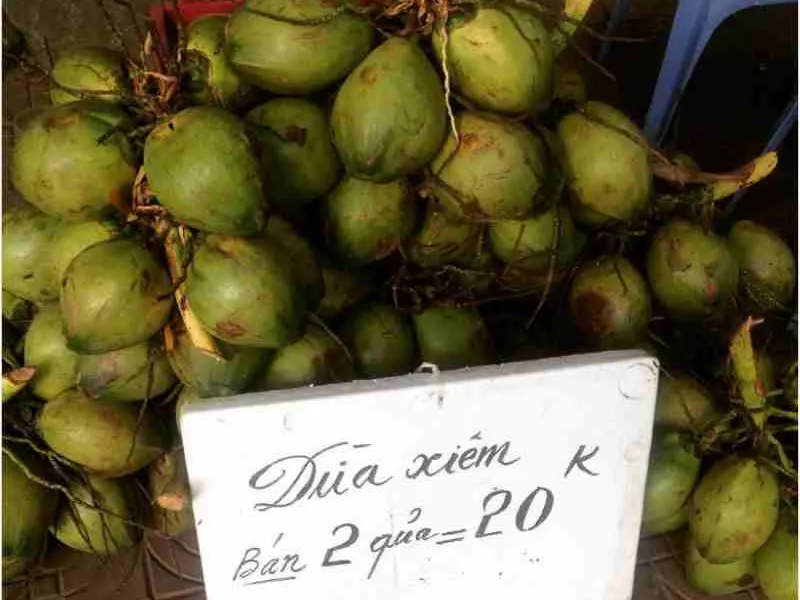 cocnuts are the staple stret food and drink snack in the Tropics